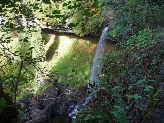 North Falls from trail Silver Falls State Park OR