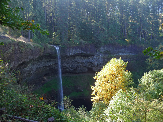 South Falls Silver Falls State Park OR