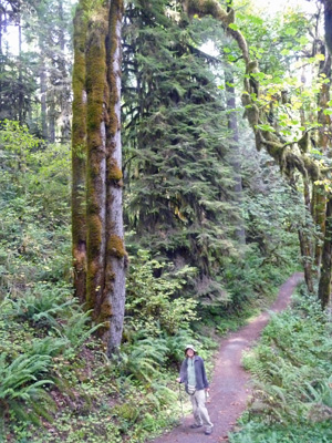 Walter Cooke on the trail at McDowell Creek Falls Park