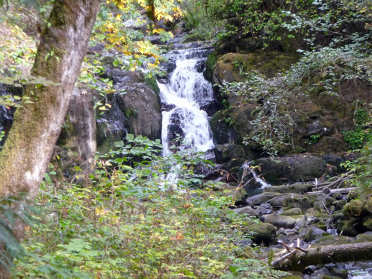 Crystal Pool Falls McDowell Creek Falls Park OR