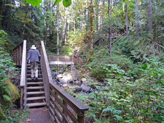 Stairs near Majestic Falls at McDowell Creek Falls Park OR