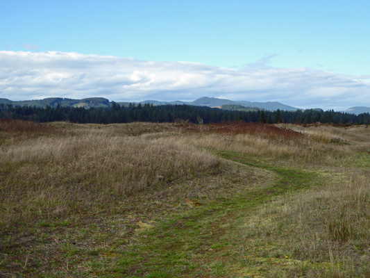 Mima Mounds WA