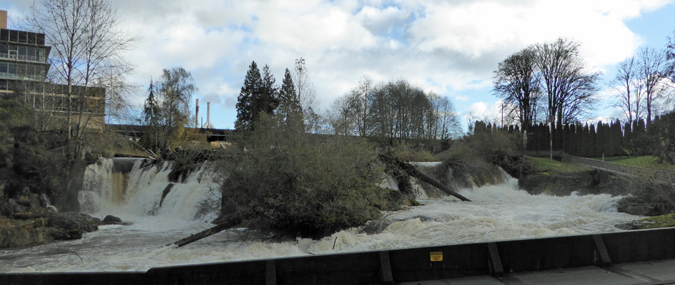 Upper Tumwater Falls