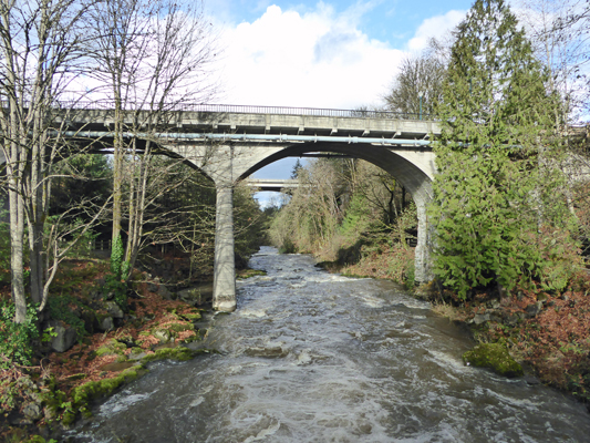 Upper Tumwater Falls Bridge