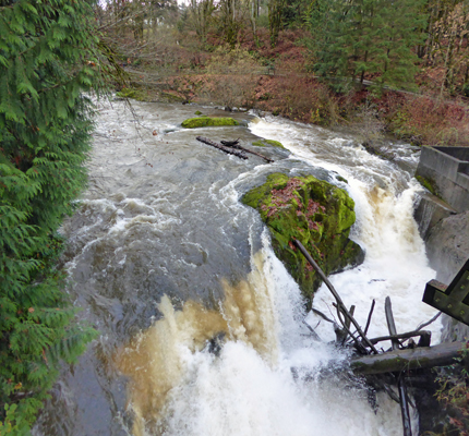 Lower Tumwater Falls