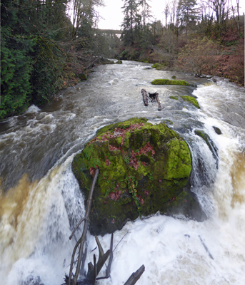 Lower Tumwater Falls