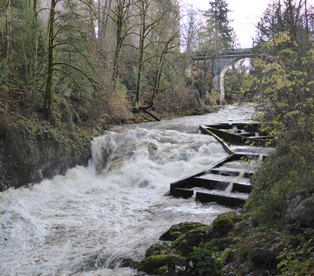 Middle Tumwater Falls and fish ladders