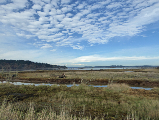 Nisqually Delta