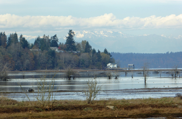 Olympics Nisqually Delta