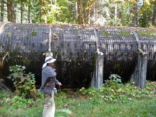 Redwood Flow pipe Toketee Falls Trailhead OR