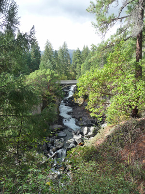 Prospect Falls from down river viewpoint