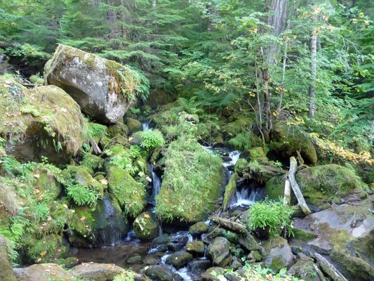 Watson Creek along trail to Watson Falls OR