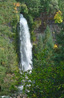 Mill Creek Falls Prospect OR