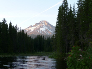 Mt Hood from Trillium Lake