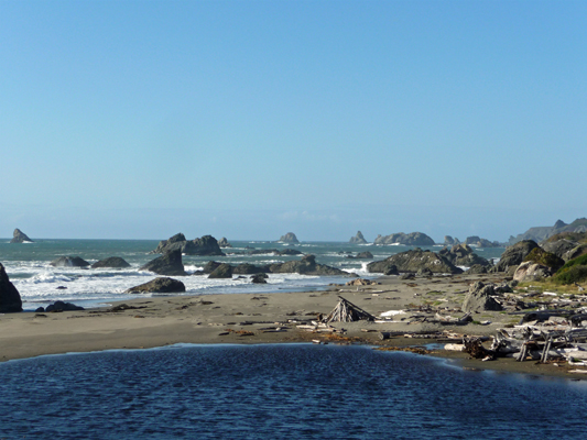 Harris Beach view northward