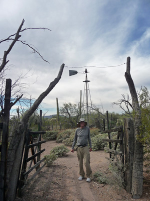 Walter Cooke Bonita Well Organ Pipe NM