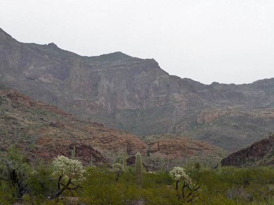 Estes Canyon Organ Pipe Nat'l Mon.