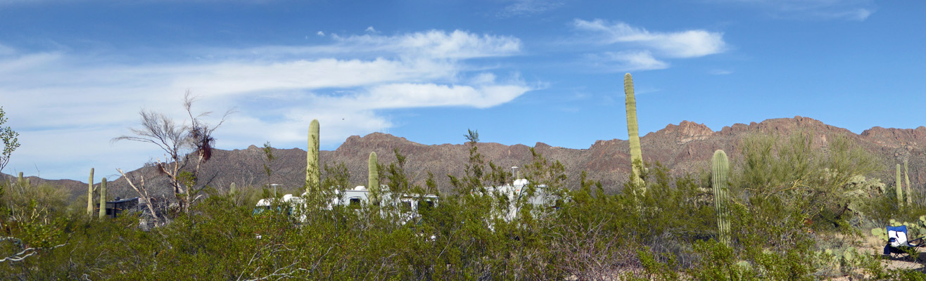 Gilbert Ray Campground Tucson