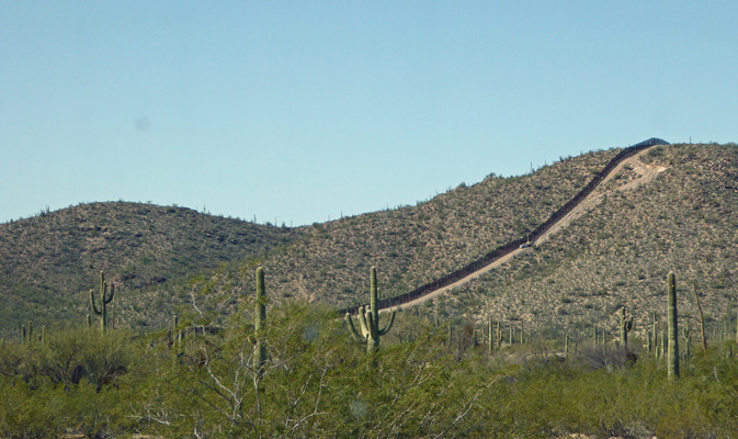 Border Fence Organ Pipe Cactus NM