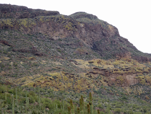 Ajo Mountain Loop view