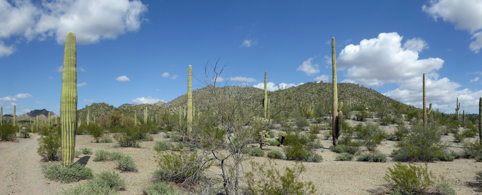 Sineta Canyon Trail view