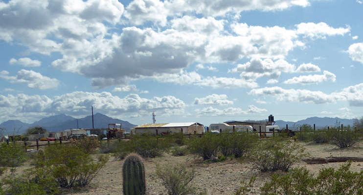 Border Fence Organ Pipe Cactus NM