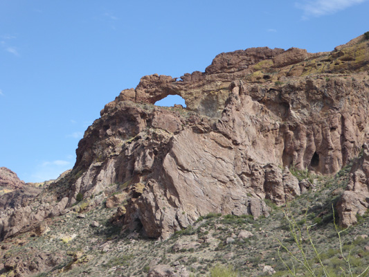 Arch Organ Pipe Cactus NM