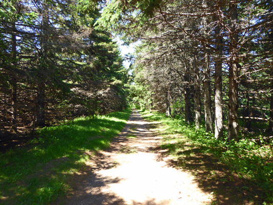 Homestead Trail PEI NP