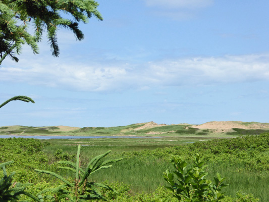Sand dunes from Homestead Trail PEI