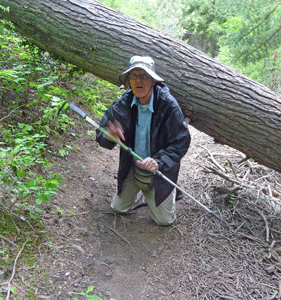 Walter Cooke and a windfall