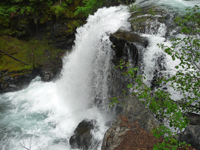 Cedar Falls North Cascades National Park