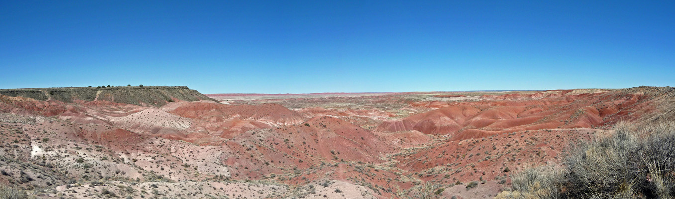 Tiponi Point viewpoint Petrified Forest