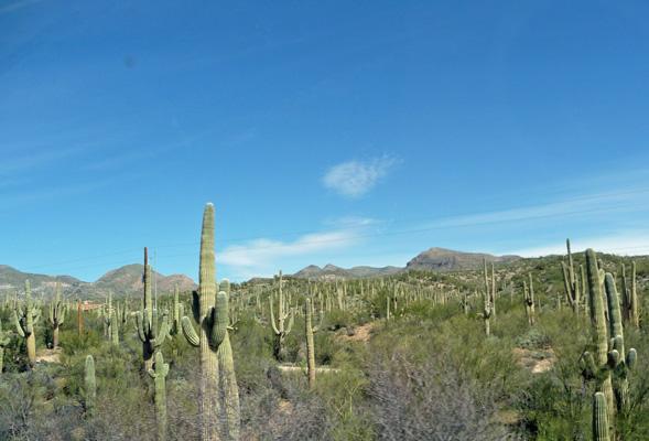 Dripping Springs Mountains AZ