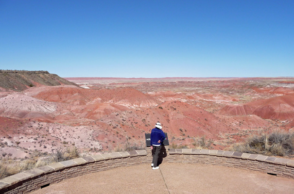 Tiponi Point viewpoint Petrified Forest