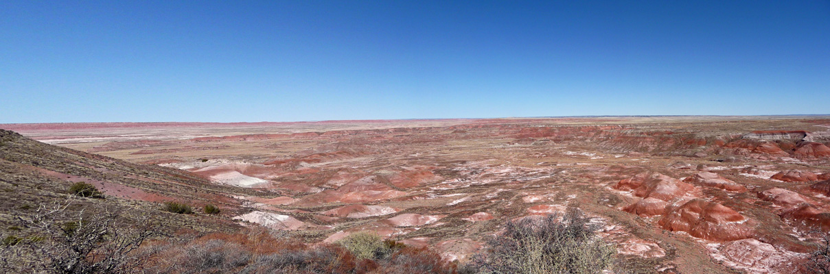 Painted Desert Petrified Forest NP