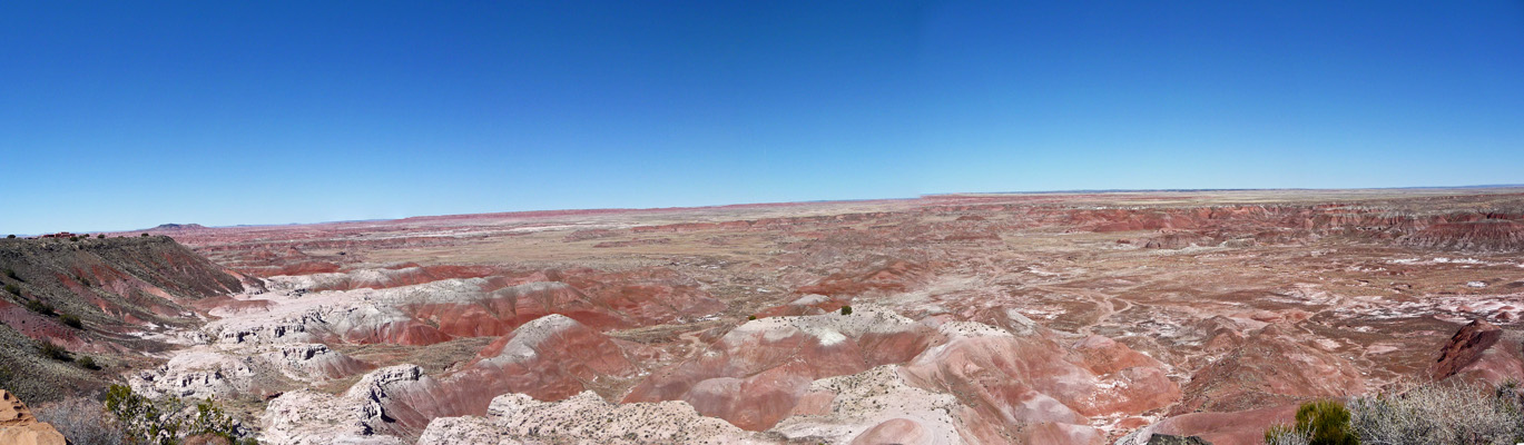 Tawa Point viewpoint Petrified Forest