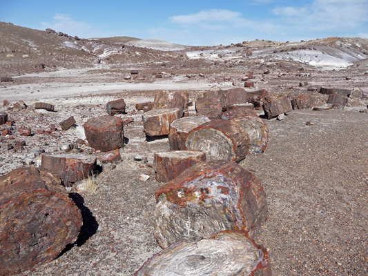 Petrified logs Crystal Forest