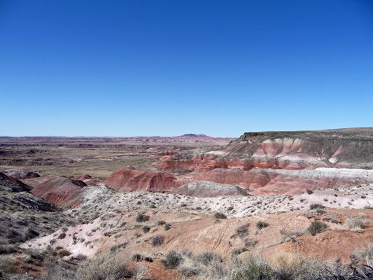 Nizhoni Point viewpoint Petrified Forest NP