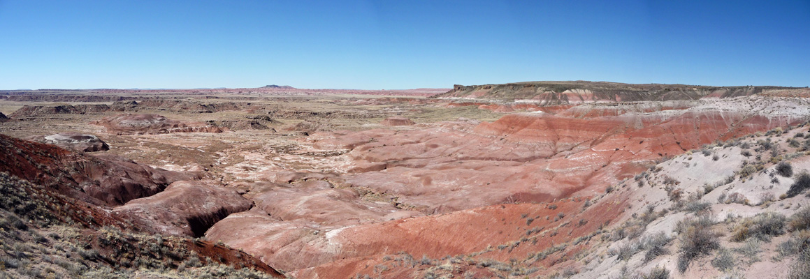 Lacey Point viewpoint Petrified Forest NP