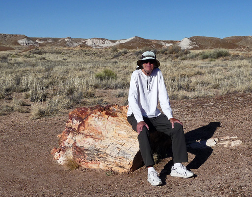 Walter Cooke Petrified Forest NP