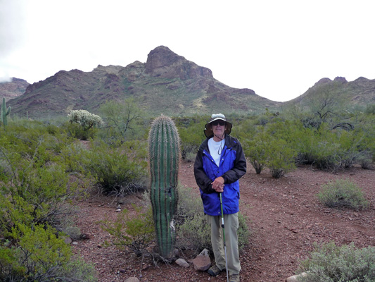 Walter Cooke small saguaro cactus Organ Pipe NM