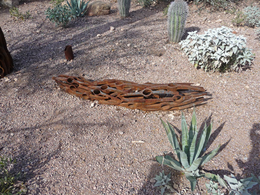 Saguaro branch sculpture Phoenix Desert Botanical Garden
