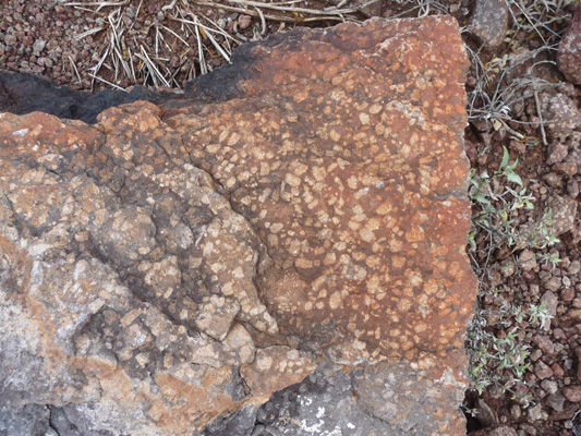 mineral rich granite Organ Pipe Nat'l Mon.