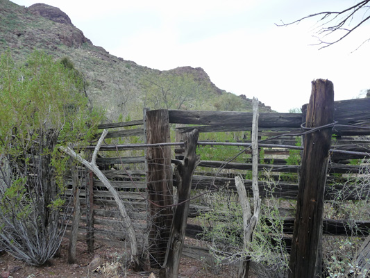 Alamo Canyon corral Organ Pipe Cactus Nat'l Mon.