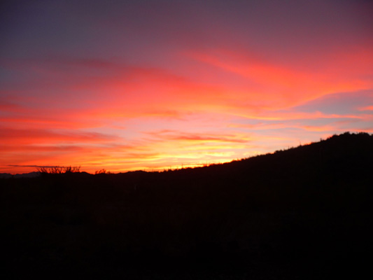 Sunset Twin Peaks Campground Organ Pipe NM