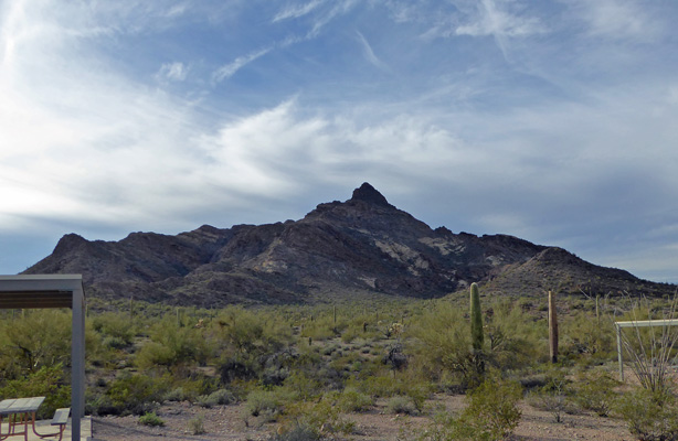 Pinkley Peak Organ Pipe Cactus NM