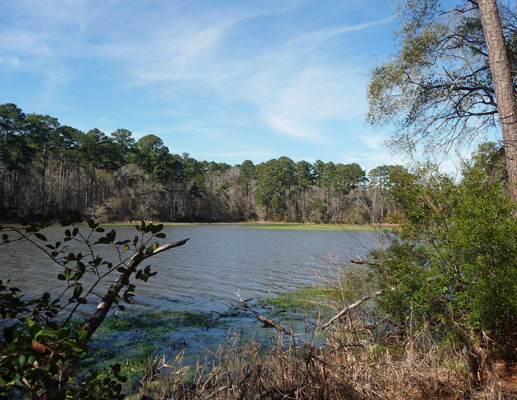 Raven Lake Huntsville SP