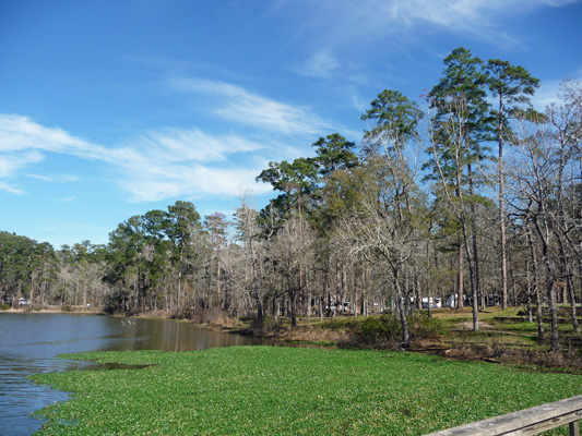 Fishing pier view Hunstville SP