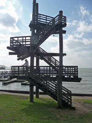Observation Tower Lake Livingston SP