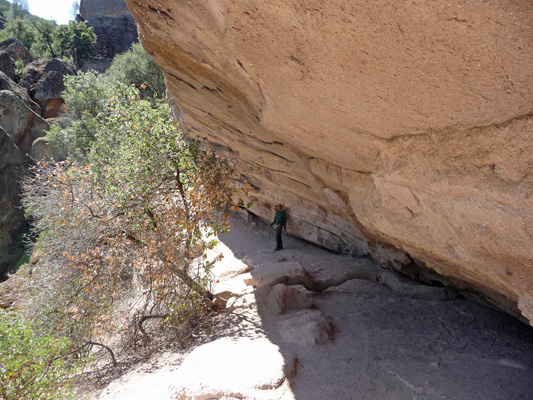 Overhang and ledge Bear Gulch Trail Pinnacles NP